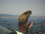 Vibeke med en stor abe på skulderen, Gibraltar