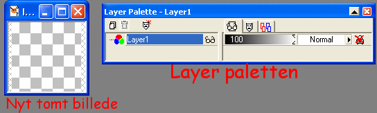 Nyt tomt billede og Layer paletten til hjre