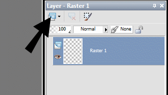 Knappen New raster layer - i øverste venstre side af Layer paletten