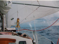 Reefed sail in the Atlantic